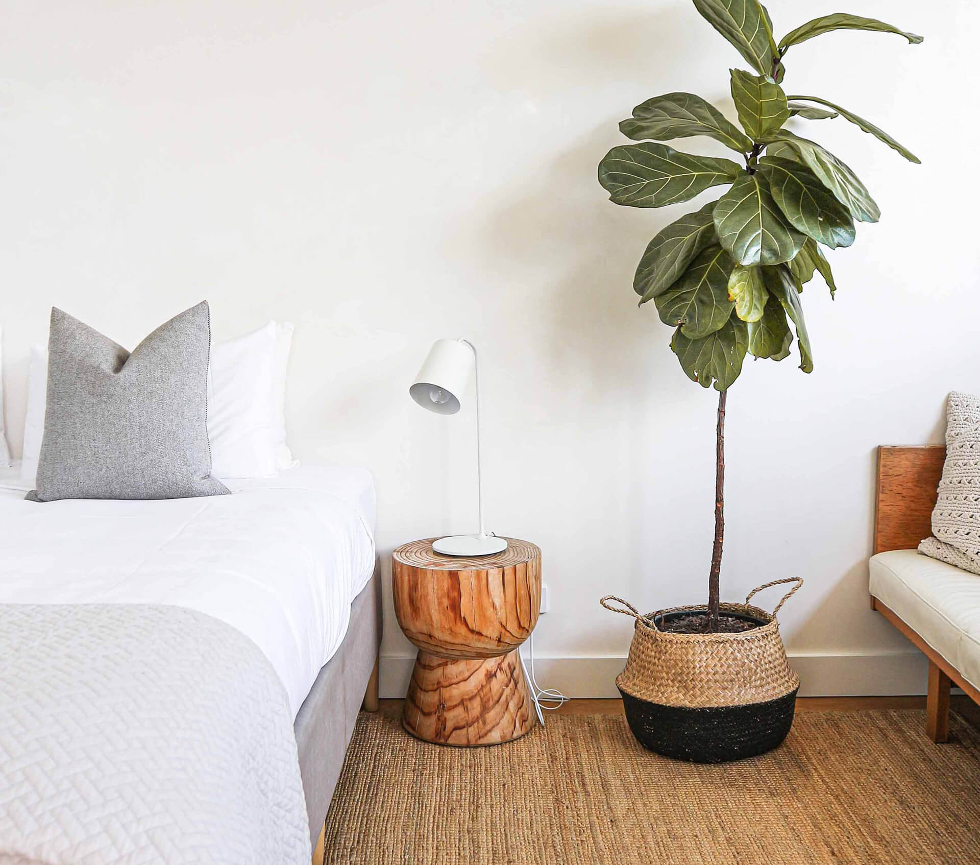 Eco-friendly renovation